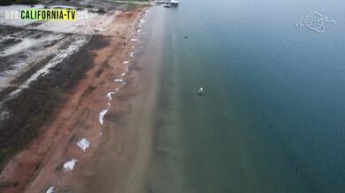 Lucky Married Taxi Driver! Influencer Famous For Her Adult Content Strips Naked In Her Taxi. If You Were The Taxi Driver, What Would You Do? - Luiza Marcato