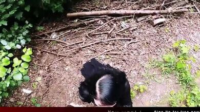 Kevin fucks Doreen’s pussy on the table! StevenShame.dating (Mr. White, Catalia Valentine)