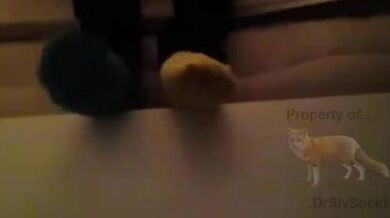 sly_2017-12-09T12-58-26Z_e5d50193-7ee9-4b39-b5ee-cee5ad6d5fc3