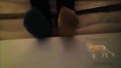 sly_2017-12-09T12-58-26Z_e5d50193-7ee9-4b39-b5ee-cee5ad6d5fc3