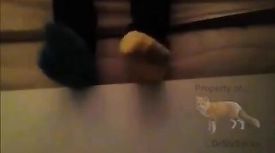 sly_2017-12-09T12-58-26Z_e5d50193-7ee9-4b39-b5ee-cee5ad6d5fc3