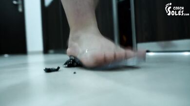 Giantess Maty destroy small cars - teaser