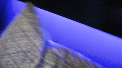 fucking my girlfriend deep in the throat, and then in the pussy