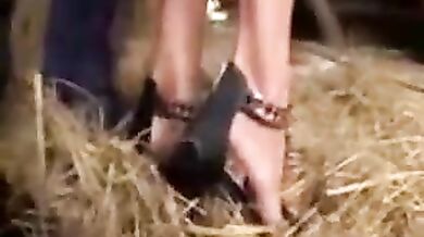 Danadinha a Fim de Diversão (Rachel Evans)