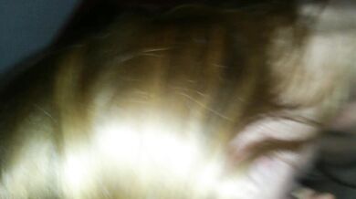 Redhead wife sucking my hard cock and taking load on titties