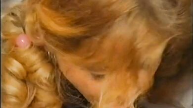 Innocent Teens 31, Pigtail Cuties Corrupted, Schoolgirl First Fuck Vintage Classics Compilation, Edited Highlights By Maggot Man