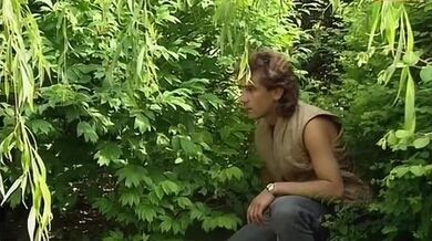 Angelica Bella La Porno Dottoressa 1995 - video SimpsHub.mp4 (Mona Lisa, Christophe Clark, Deborah Wells)