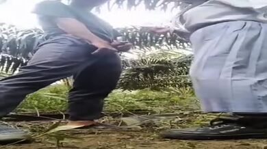 SMA Mesum Di Kebun Sawit