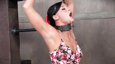 Woman is confined and gets ripped-on down her facehole