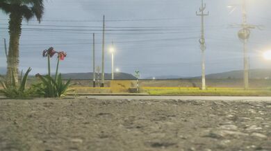 Sabina quiere ser follada