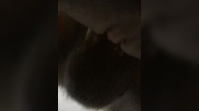 Pussy licking ass eating fun with amateur couple