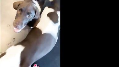 Heidi Klum Sexy Scene in Heidi Klum Strips Down For Sexy Shower Photoshoot