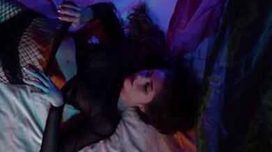 cutie pino transparence