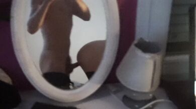 #confinement2 Ma voisine salope...