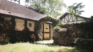 D&D Porn Adventure Part Il- Rain Of Gold (Sweetie Fox, Diana Rider, Octokuro, ArinaFox)