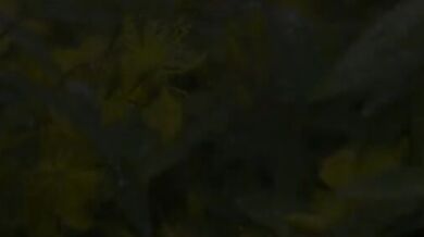 Old Friends Hook Up After Husband's Passing - RINA AYANA