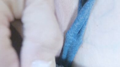 ［Uncensored］Masturbation that got the climax in Portio