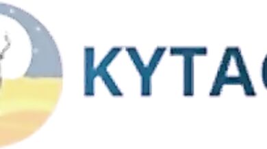 polynochnyi priliv part 7