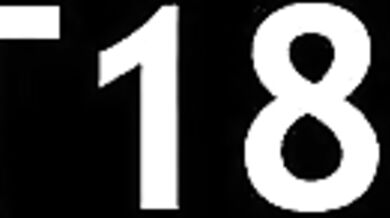 Beautiful fairhair and brunette Russians in the bed