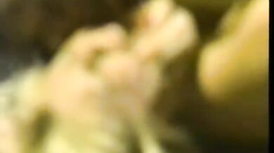 NP The Cats Of Club