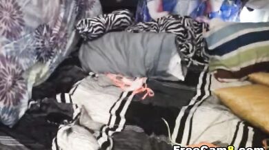 Lesbian Couple Having Hot Sex