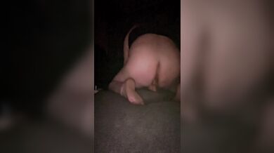 Sissy find a used toy at work