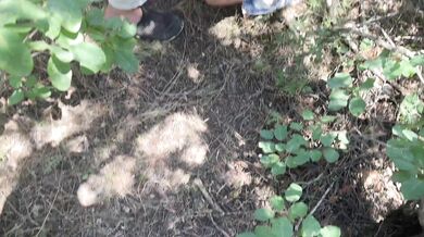 Fucked a stranger with my stepsister in the forest