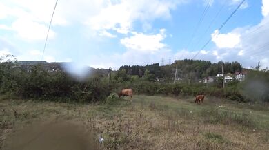 HARD OUTDOOR DOGGY FUCK GOT INTERRUPTED