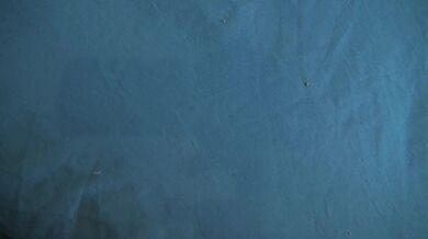 egyptian stepmother british stepson making pictures