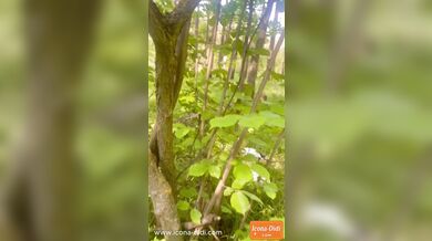 Красивая милфа с шикарной грудью делает растяжку в лесу и раздевается. Настоящий эксбиционизм.