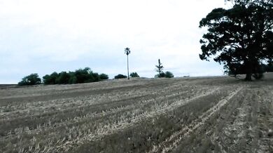 Thick Thighs Spooky Vibes Episode 2 St Johns Cemetery