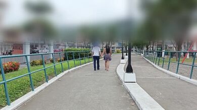 I met a stranger in the park and we went to have sex at the house.