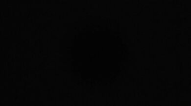 FEEDING YOU THROUGH THE WEDDING VAIL DADDYS GIOD GIRL IN TRAINING (AUDIO ONLY)