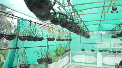 Short Film - Paraganam