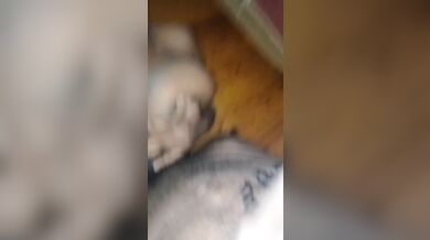 MY FREAKY BABY GIVES WET BLOWJOB AS SHE SLIDES DADDY FAT DICK BETWEEN HER HUGE TITS BEFORE HE CUMS!!