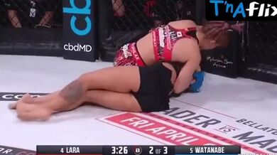 Alejandra Lara Sexy Scene in Alejandra Lara Pussy Slip During Ufc Match
