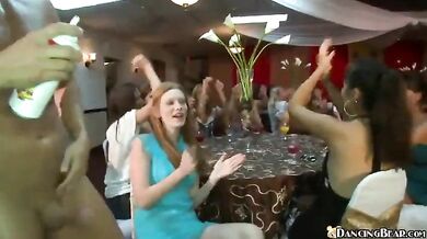 DancingBear Ballroom Blitz XXX