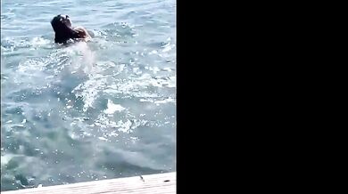 Elizabeth Hurley Butt, Breasts Scene in Elizabeth Hurley Sizzles In Sexy Bikini At Beach Party