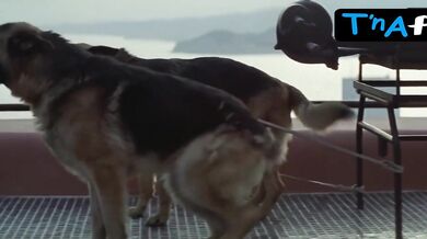 Maria De Medeiros Lesbian, Breasts Scene in Huevos De Oro