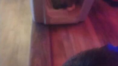 Cute cat makes his kitty litter his bed part 2