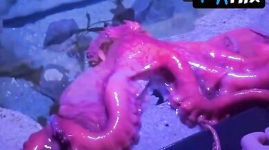 Mckenna Grace Breasts Scene in Mckenna Grace Celebrating Her 19Th Birthday