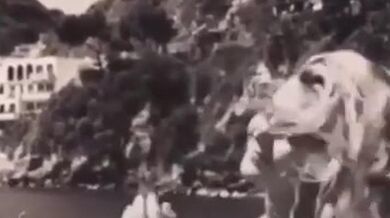 Alex Bejar Bikini Scene in The Body Nation