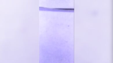 Nude Mallu Aunty Secretly Recorded By Her Lover While Talking On Phone