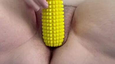 Corn Dog Toy