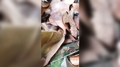 Beautiful?Virgin Nepali College Girl?Fucking With Her Boyfriend In Forest!??