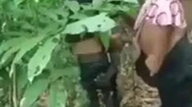 गांव के जवान लड़के ने अपने से बड़े उम्र की लड़की को जंगल में पेला।