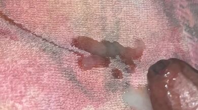 BUS A NUT IN SLO MO (DONE)