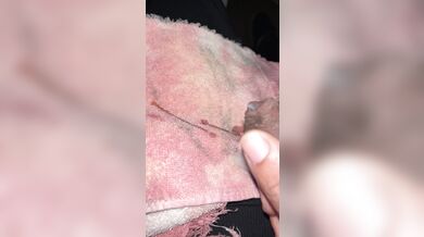 BUS A NUT IN SLO MO (DONE)