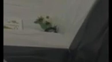 Indian Students Leaked Fingring