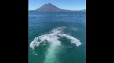 eliza flores edecan chapina culazo